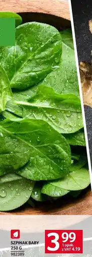 Selgros Szpinak baby Selgros oferta