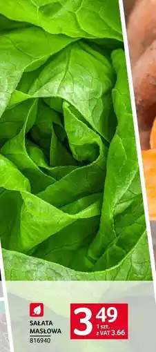 Selgros Sałata masłowa Selgros oferta