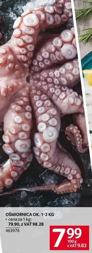 Selgros Ośmiornica ok. 1-2 kg Selgros oferta