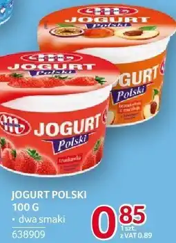 Selgros Jogurt Polski Mlekovita 100 g dwa smaki oferta