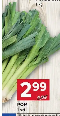 Stokrotka Por 1 szt. Stokrotka oferta