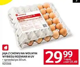 Selgros Jaja z chowu na wolnym wybiegu rozmiar M/UV sprzedaż po 30 szt. economy oferta