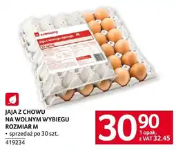 Selgros Jaja z chowu na wolnym wybiegu rozmiar M sprzedaż po 30 szt. economy oferta