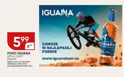 Chata Polska Piwo iguana Drink ID oferta