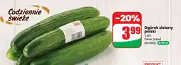 Dino Ogórek zielony polski oferta