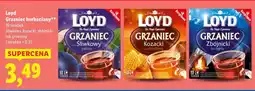 Lidl Herbata Loyd Grzaniec zbóżnicki na ogniku oferta