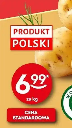 Żabka Ziemniaki Żabka oferta