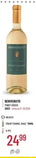 E.Leclerc Wino Benvenuto Pinot Grigio oferta