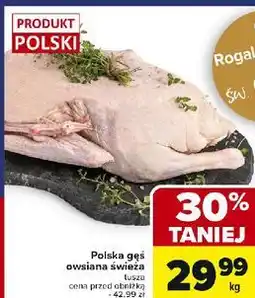 Carrefour Gęś owsiana świeża oferta