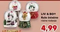 Kaufland Kula śnieżna Liv & Bo oferta
