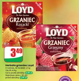 Dino Grzaniec kozacki z miodem Loyd Tea oferta