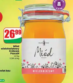 Dino Miód wielokwiatowy Cd Królowa Pszczół oferta