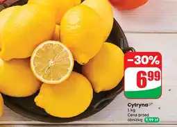 Dino Cytryny oferta