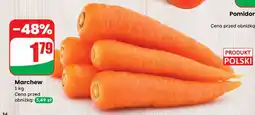 Dino Marchew polska oferta