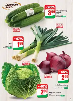 Dino Ogórek zielony oferta