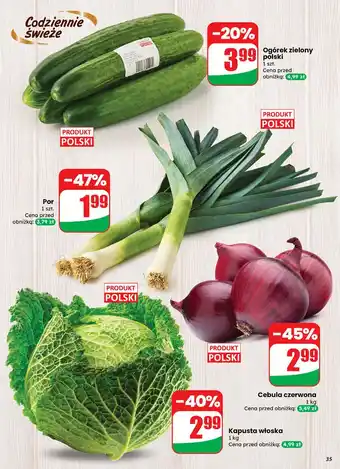 Dino Ogórek zielony oferta