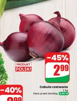 Dino Cebula czerwona oferta
