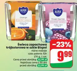Dino Świeca w szkle orange Aura Fragrances Candles oferta