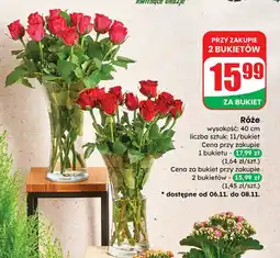 Dino Róże 40 cm oferta