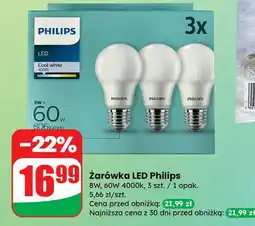 Dino Żarówka bańka e27 60w Philips oferta