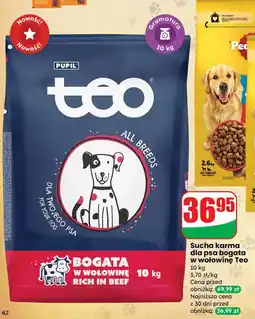 Dino Karma dla psa z wołowiną Teo oferta