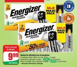 Dino Baterie alkaliczne aaa Energizer oferta