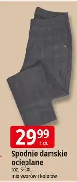 E.Leclerc Spodnie damskie ocieplane 2-3xl oferta