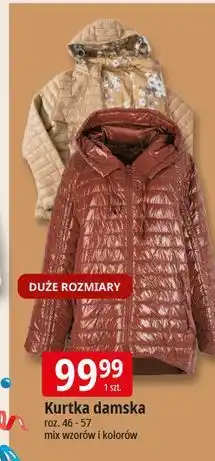 E.Leclerc Kurtka damska 46-57 oferta