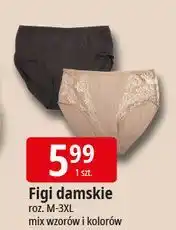 E.Leclerc Figi damskie m-3xl oferta