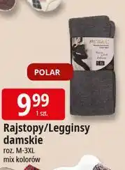 E.Leclerc Legginsy damskie Pesail oferta