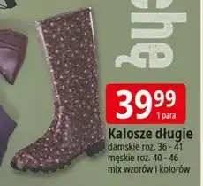 E.Leclerc Kalosze męskie 40-46 oferta