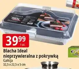 E.Leclerc Blacha nieprzywieralna z pokrywą ideal 32.5 x 22.5 5 cm Galicja oferta