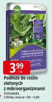 E.Leclerc Podłoże uniwersalne 4w1 z mikroorganizmami Ok Katarzyna Ostrowska oferta