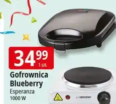 E.Leclerc Gofrownica blueberry Esperanza oferta