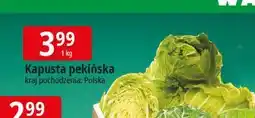 E.Leclerc Kapusta pekińska polska oferta