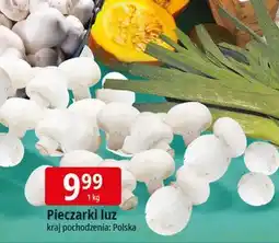 E.Leclerc Pieczarki polska oferta