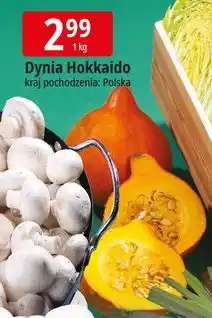 E.Leclerc Dynia hokkaido polska oferta