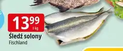E.Leclerc Śledź solony Fischland oferta
