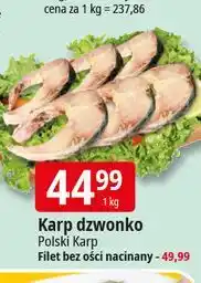E.Leclerc Karp filet bez ości nacinany Polski oferta