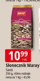 E.Leclerc Słonecznik Meray oferta