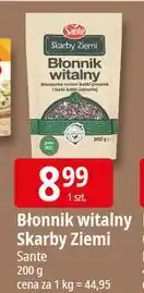 E.Leclerc Błonnik witalny Sante Skarby Ziemi oferta