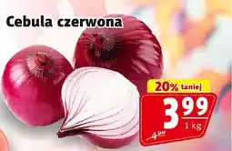 Prim Market Cebula czerwona Prim Market oferta