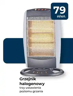 Mrówka Grzejnik oferta