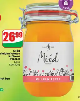 Dino Miód Królowa Pszczół oferta