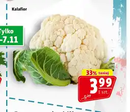 Prim Market Kalafior oferta