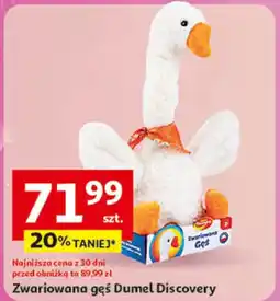 Auchan Pluszak Dumel Discovery oferta