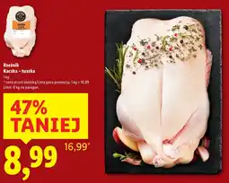 Lidl Kaczka Rzeźnik oferta