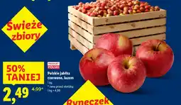Lidl Jabłka Polski oferta