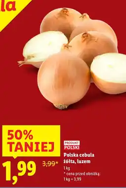 Lidl Cebula Polski oferta