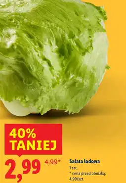 Lidl Sałata lodowa oferta